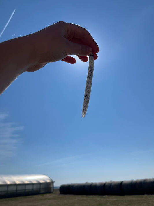 Salt and pepper 5 inch Senko ( 8 pack )