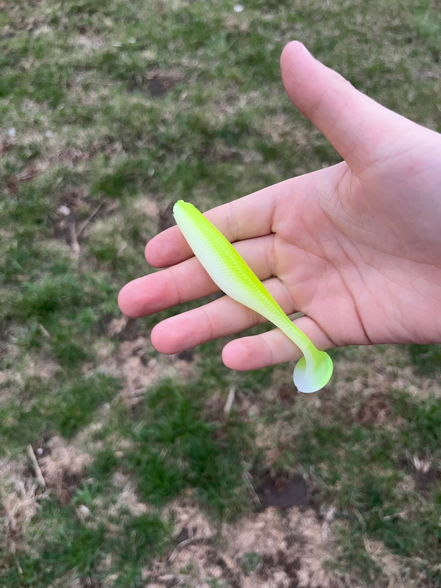 4” Lemon Cake Paddle Tail ( 8 Pack )