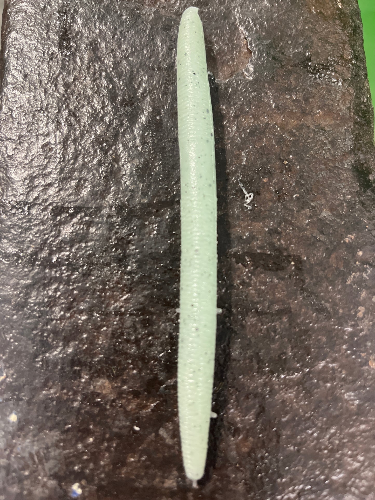 Mint chocolate 5 inch Senko ( pack of 8 )