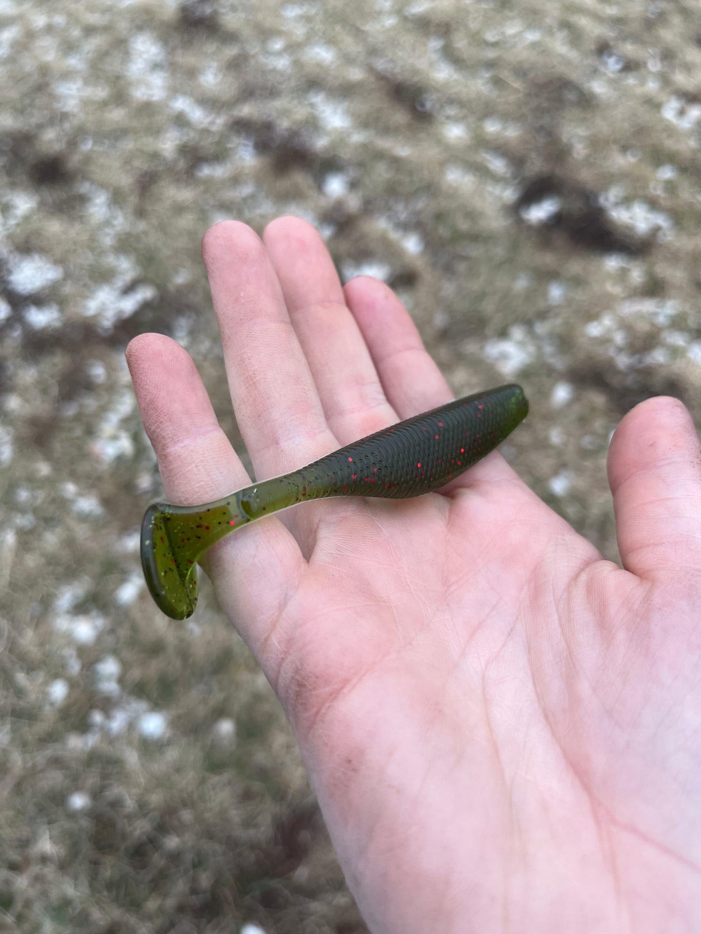 Watermelon Green Red 4 Inch Paddle Tail ( 8 Pack )
