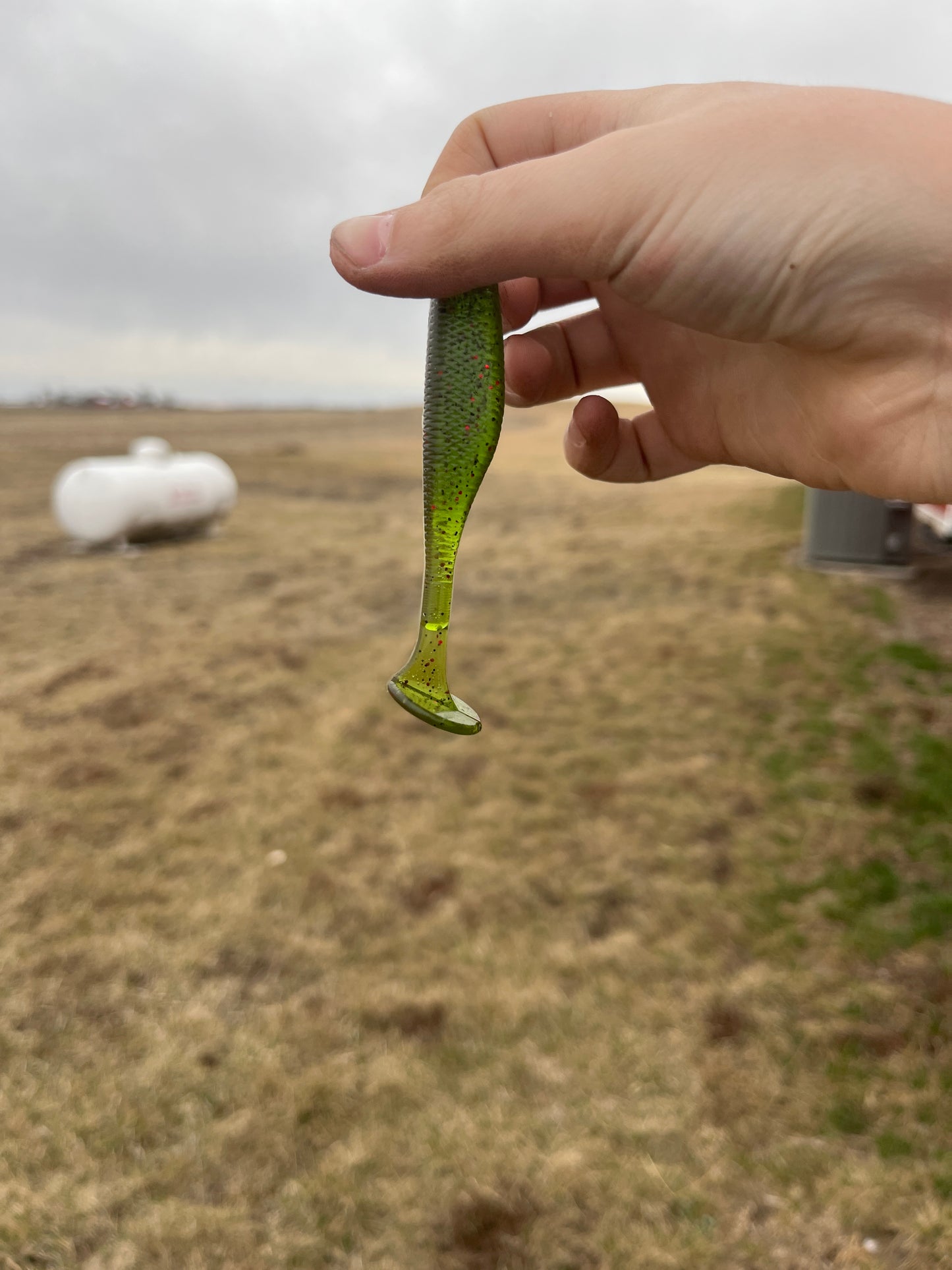 Watermelon Green Red 4 Inch Paddle Tail ( 8 Pack )