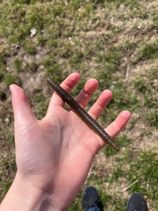 Green Pumpkin 5 Inch Senko ( 8 Pack )