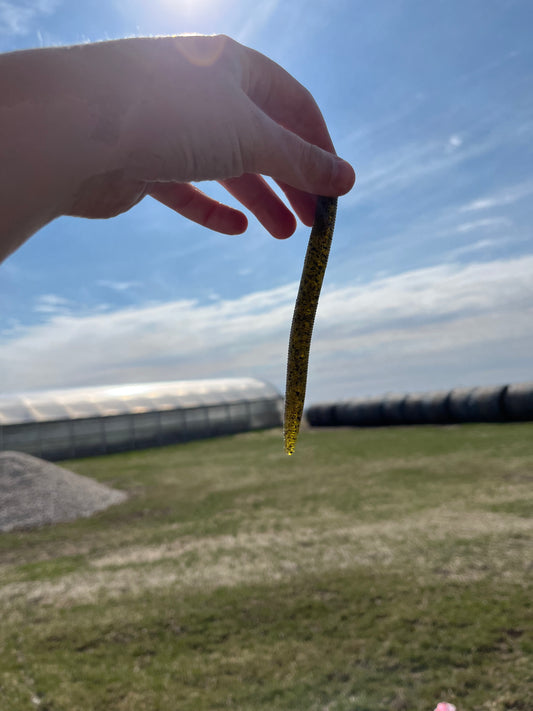 Green Pumpkin 5 Inch Senko ( 8 Pack )